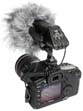 Canon EOS 5D: s mikrofonem a kožešinkou (Kliknutí zvětší)