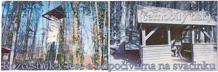 Přímý tisk z přírody: rozcestník a odpočívadlo v lese...