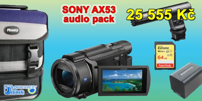 Sony FDR-AX53